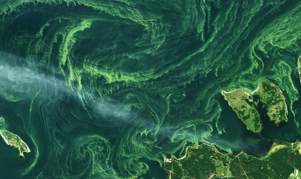 3.11 Discussion – Impacts of climate change on marine ecosystems